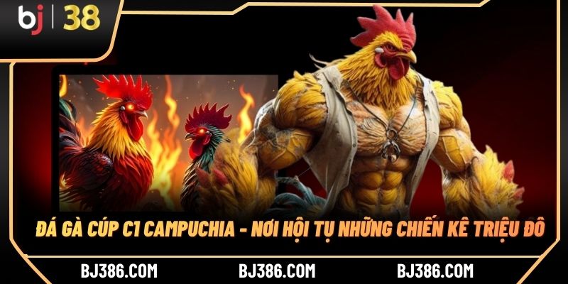 Đá Gà Cúp C1 Campuchia - Nơi Hội Tụ Những Chiến Kê Triệu Đô