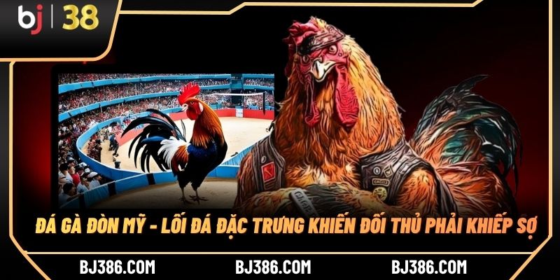 Đá Gà Đòn Mỹ - Lối Đá Đặc Trưng Khiến Đối Thủ Phải Khiếp Sợ