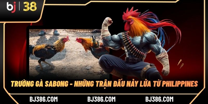 Trường Gà Sabong - Những Trận Đấu Nảy Lửa Từ Philippines